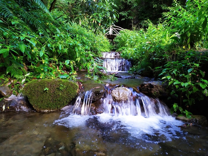 Jibhi waterfall, Himanchal Pradesh-min