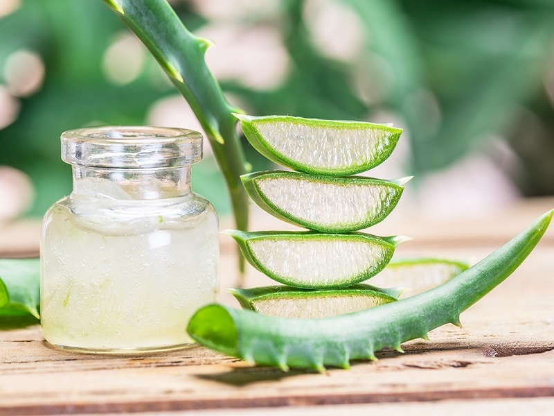 Aloe vera for hair loss