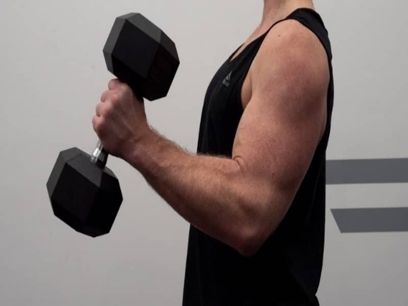 Dumbbell Hammer Curl for biceps