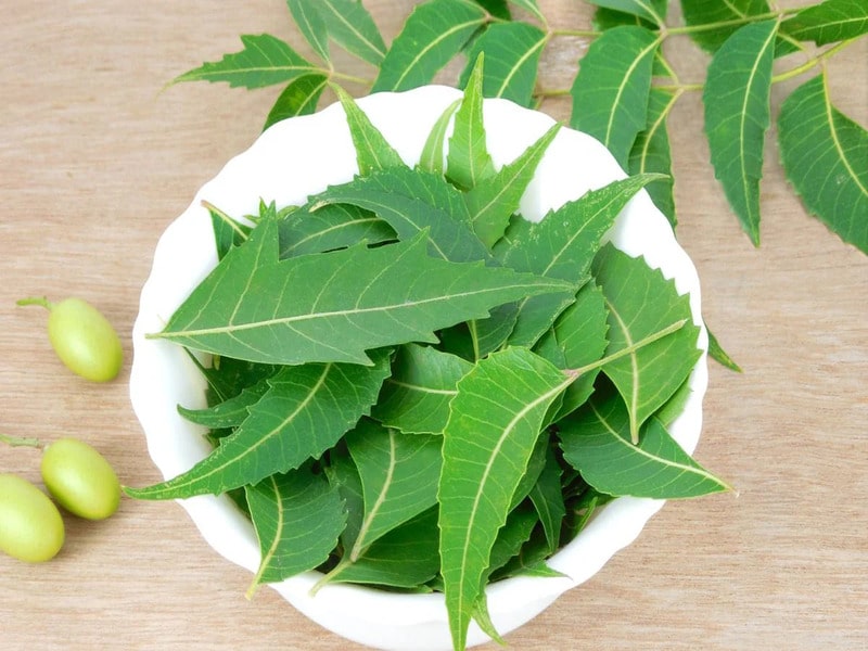 Soothe Your Skin Naturally: Best Home Remedies for Summer Rashes